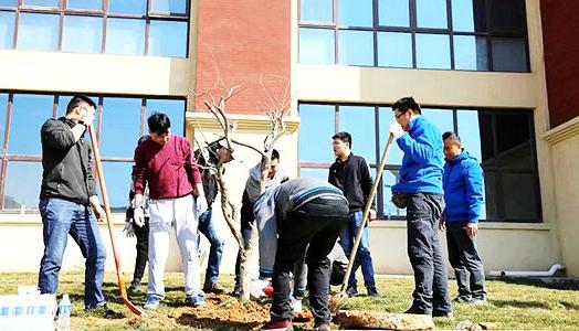 2019年真钱欧洲杯实业集团植树活动